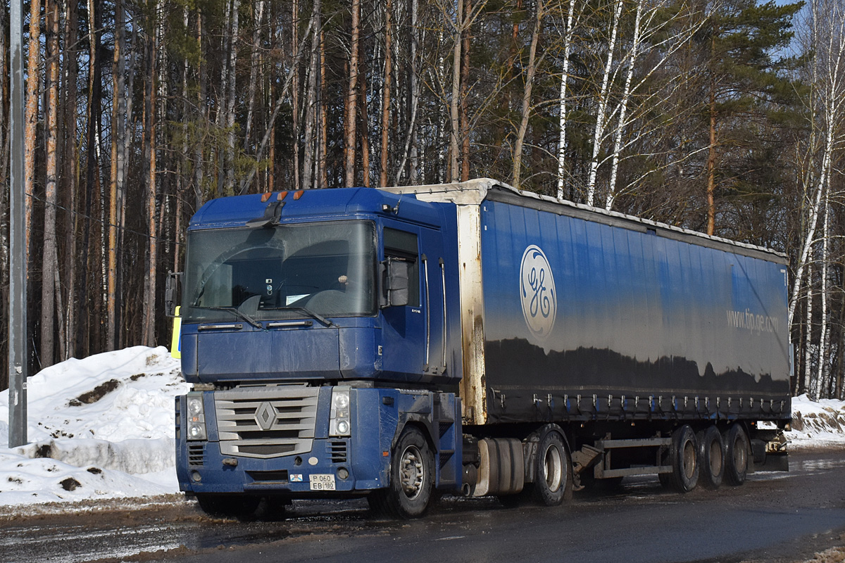 Донецкая область, № Р 060 ЕВ 180 — Renault Magnum (общая модель)