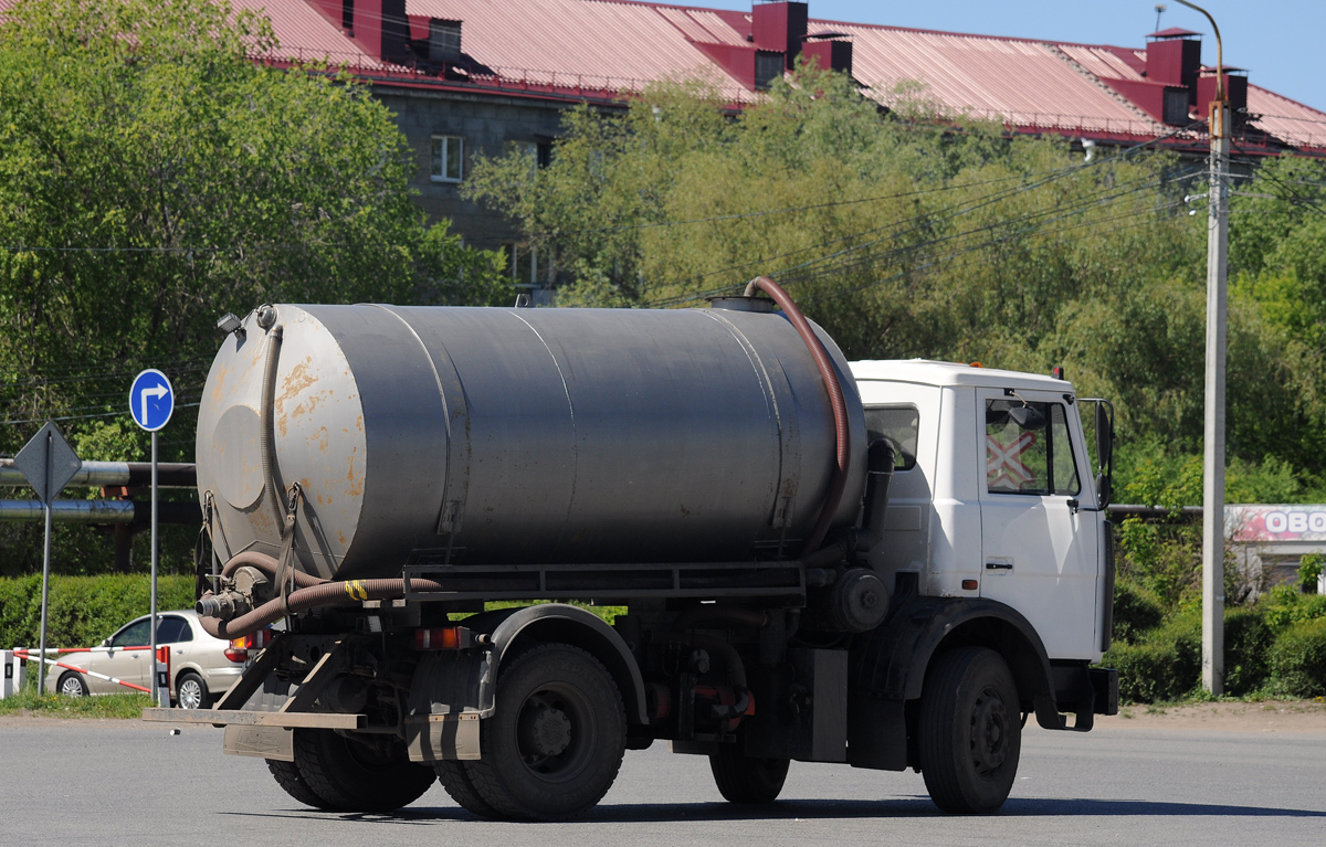 Омская область, № Х 219 УР 55 — МАЗ-543302