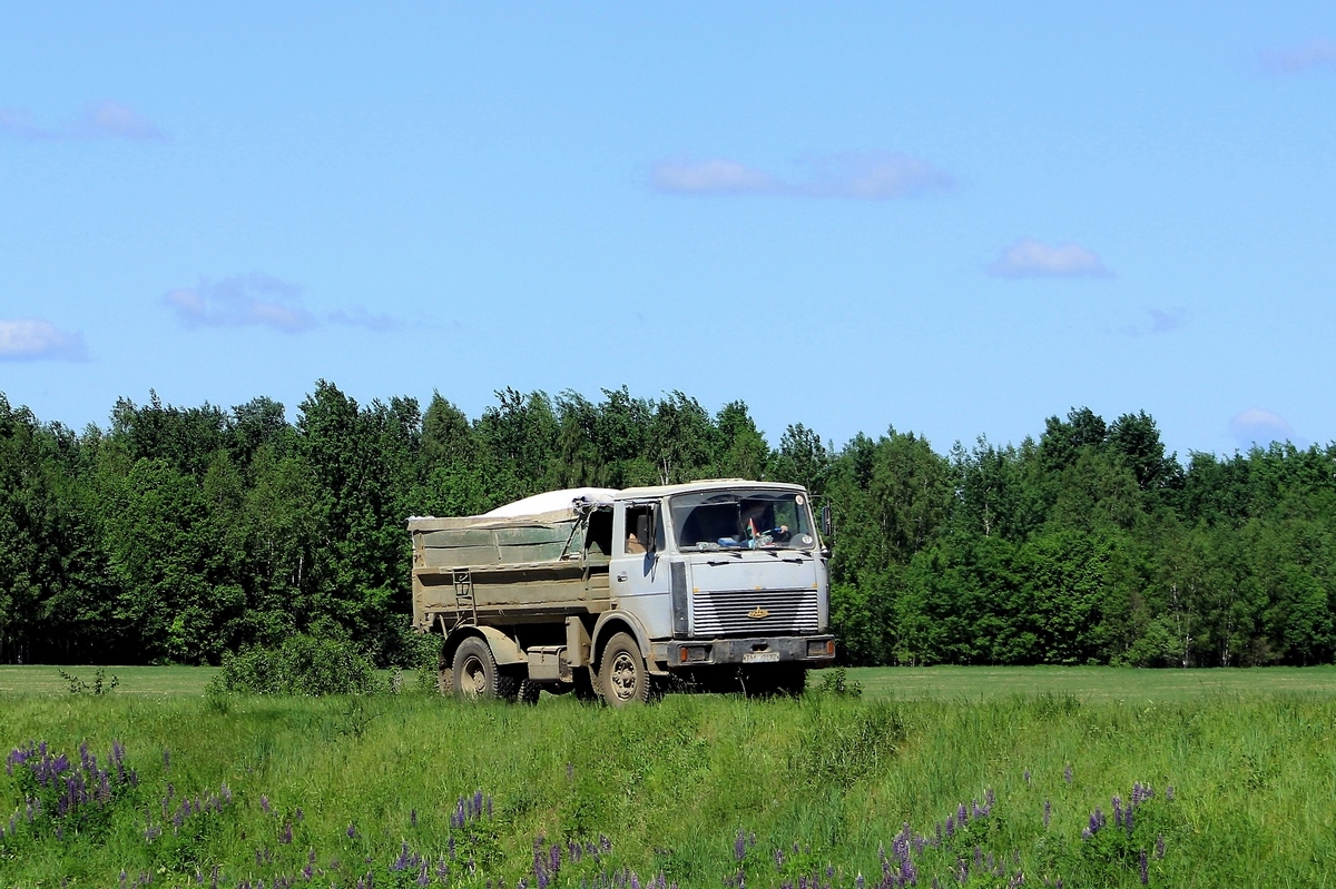 Могилёвская область, № ТМ 7177 — МАЗ-5551 (общая модель)
