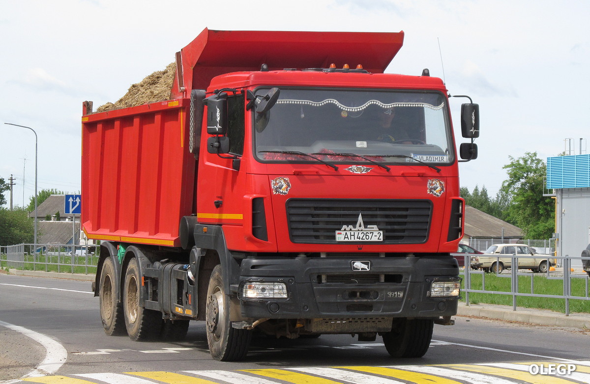 Витебская область, № АН 4267-2 — МАЗ-650128