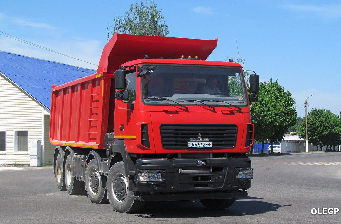 Могилёвская область, № АМ 5423-6 — МАЗ-651628