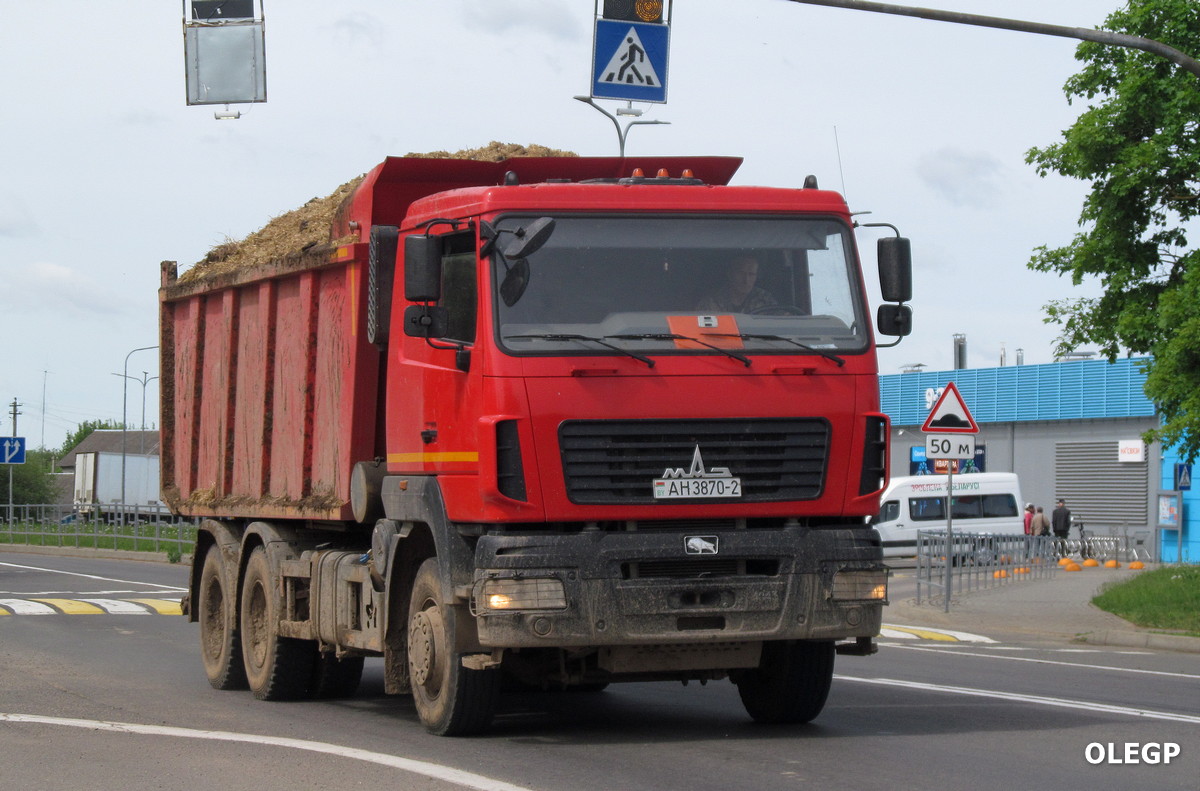 Витебская область, № АН 3870-2 — МАЗ-650128