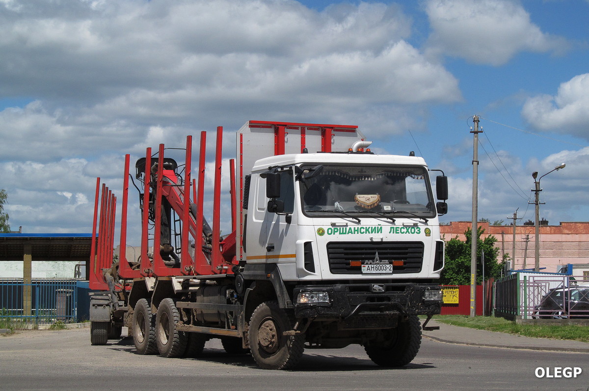 Витебская область, № АН 6003-2 — МАЗ-6302