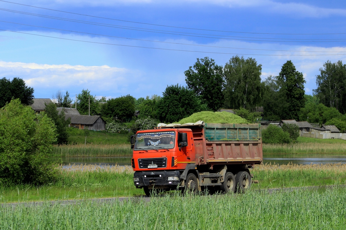 Могилёвская область, № АК 2678-6 — МАЗ-6501 (общая модель)