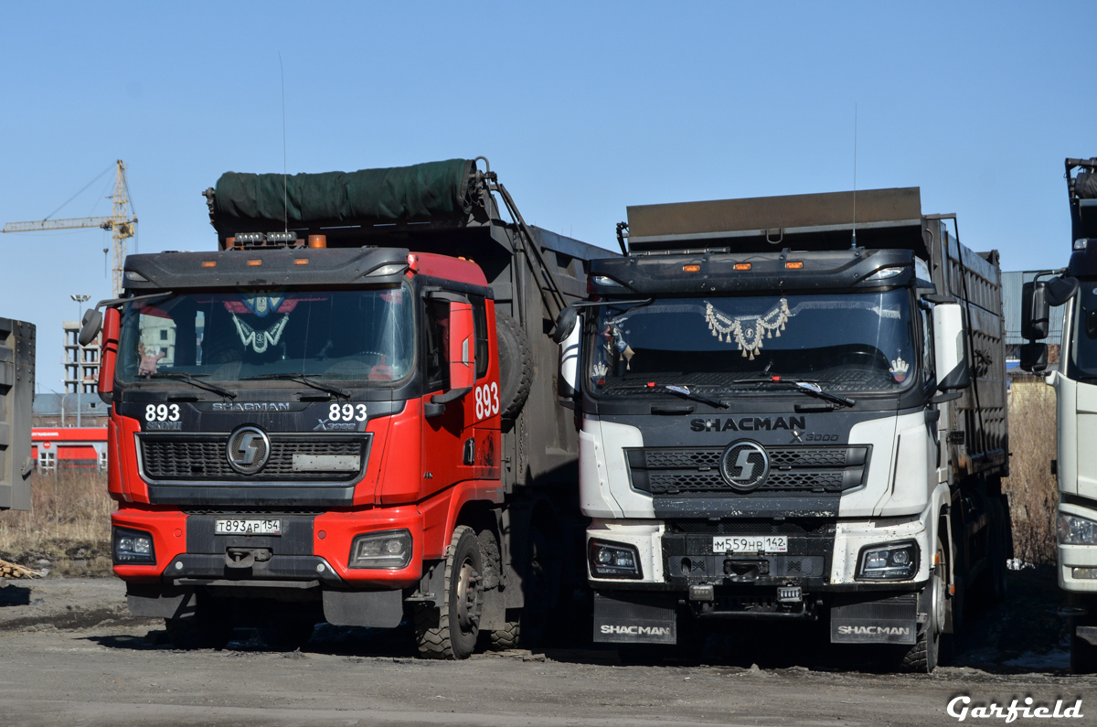 Кемеровская область, № М 559 НВ 142 — Shaanxi Shacman X3000 SX3318