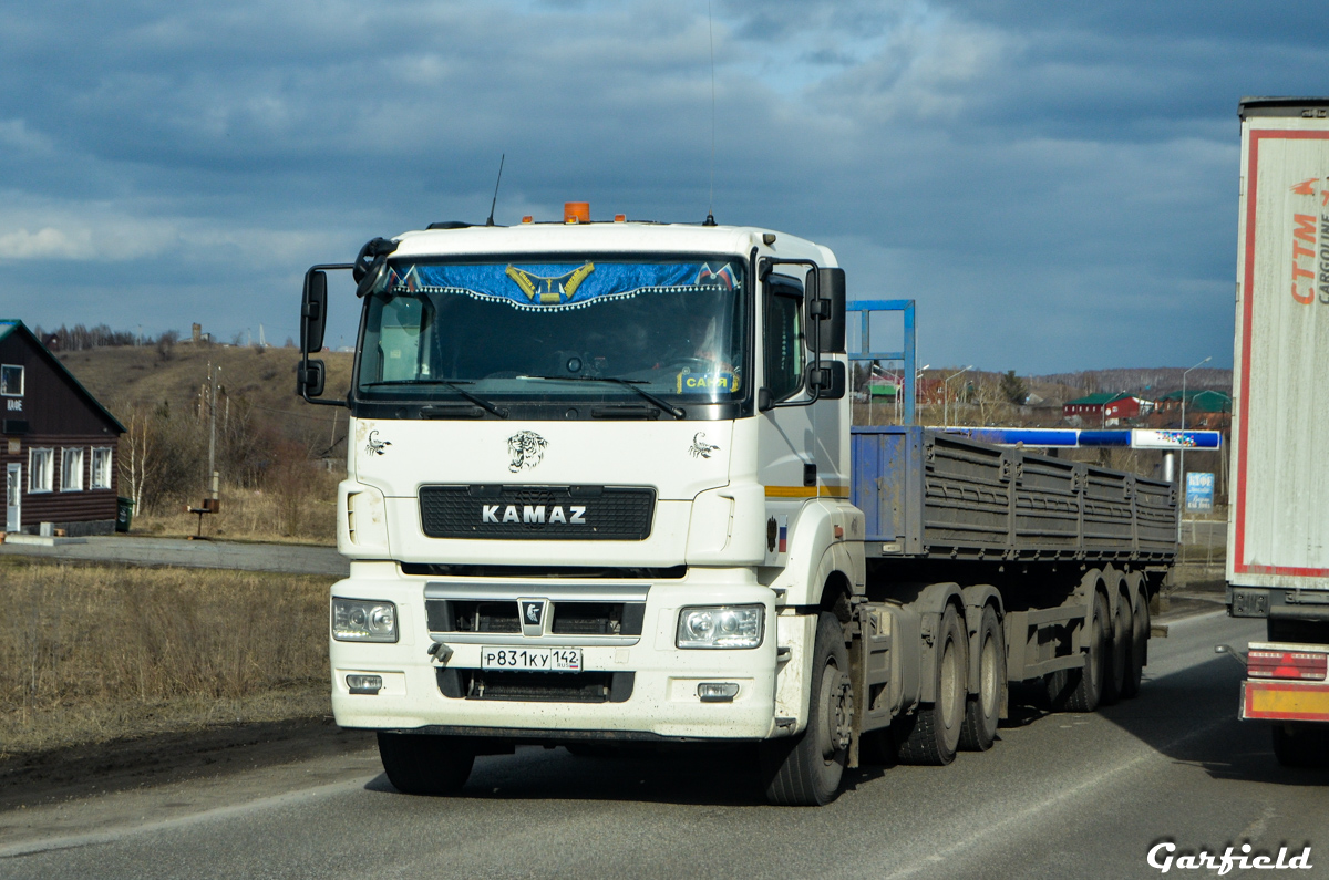 Кемеровская область, № Р 831 КУ 142 — КамАЗ-65206-T5(68)