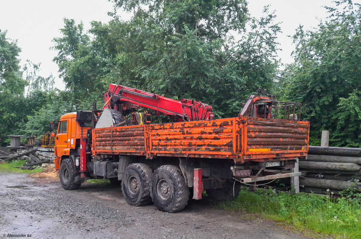 Свердловская область, № В 293 СН 196 — КамАЗ-43118-46