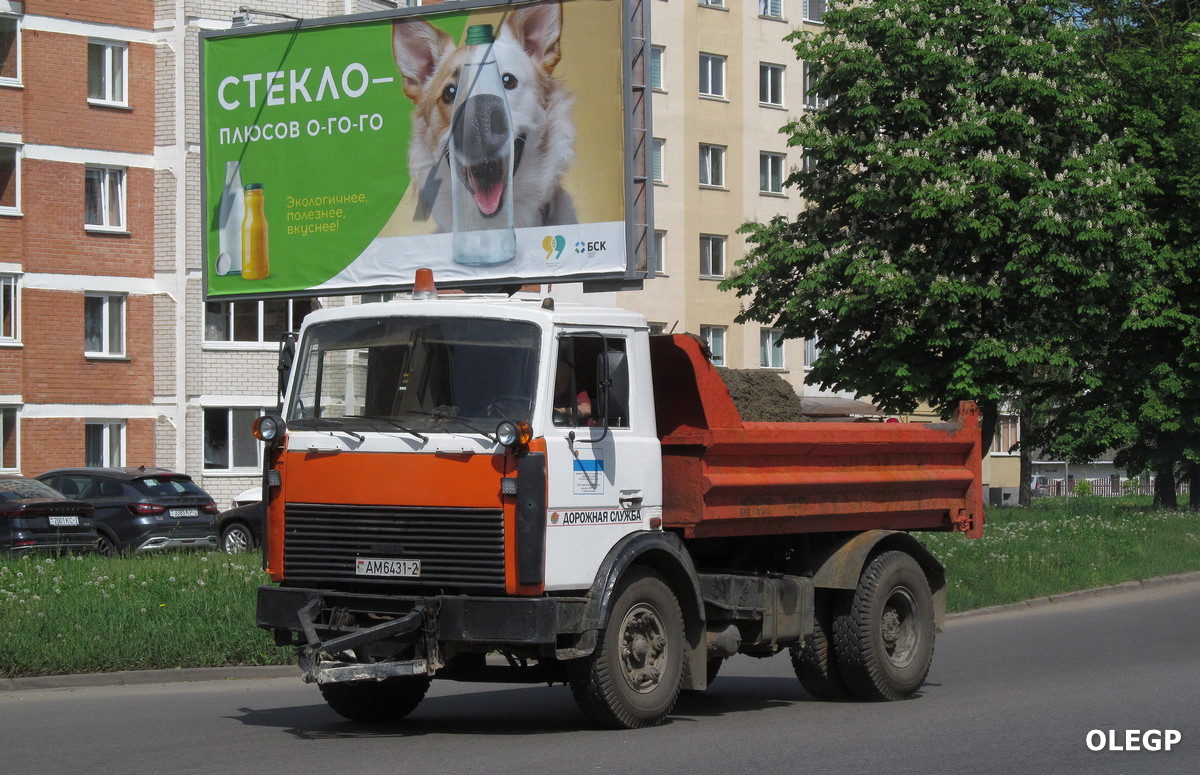 Витебская область, № АМ 6431-2 — МАЗ-5551 (общая модель)