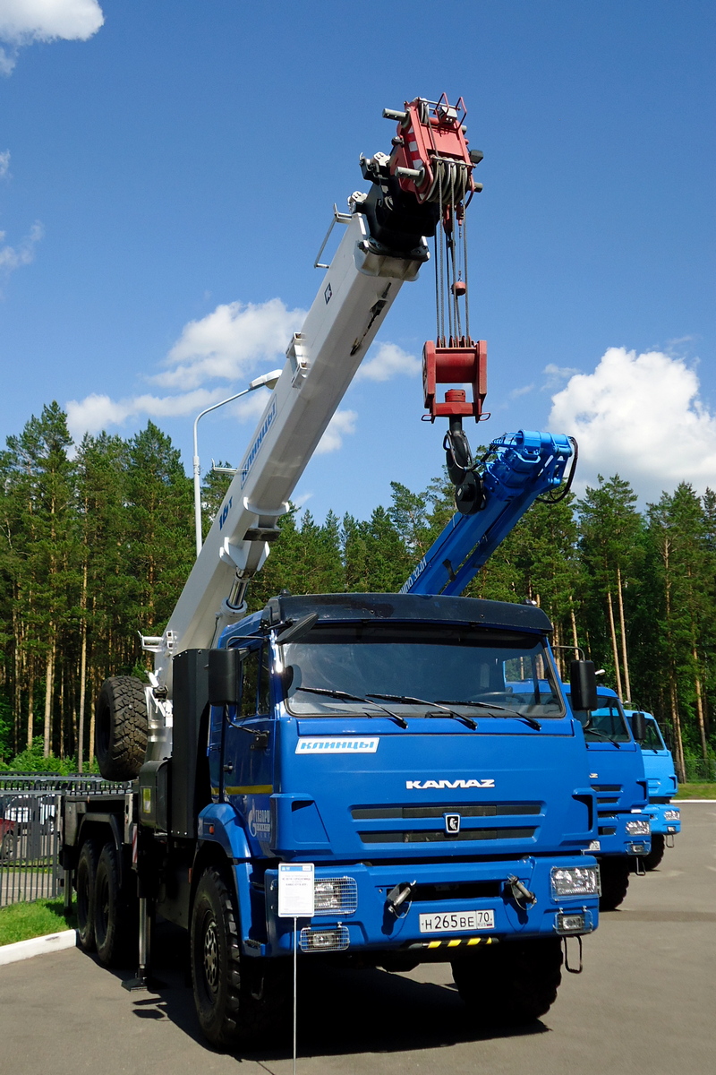 Томская область, № Н 265 ВЕ 70 — КамАЗ-43118 (общая модель)