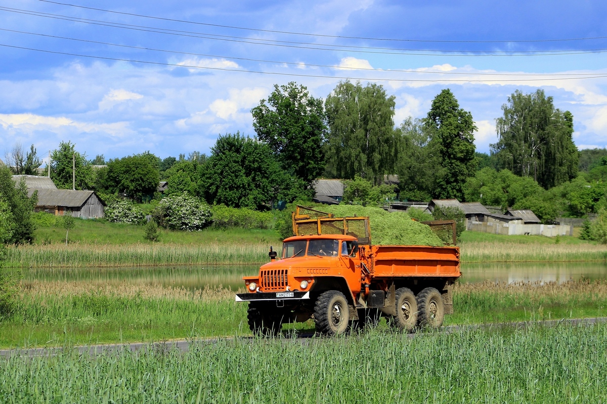 Могилёвская область, № АМ 2171-6 — Урал-5557