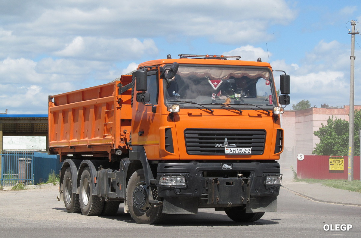 Витебская область, № АН 4902-2 — МАЗ-6501 (общая модель)