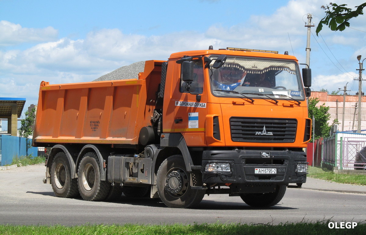 Витебская область, № АН 6795-2 — МАЗ-650128