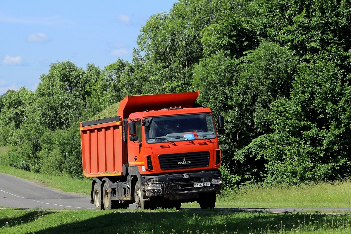 Могилёвская область, № АМ 2878-6 — МАЗ-6501 (общая модель)