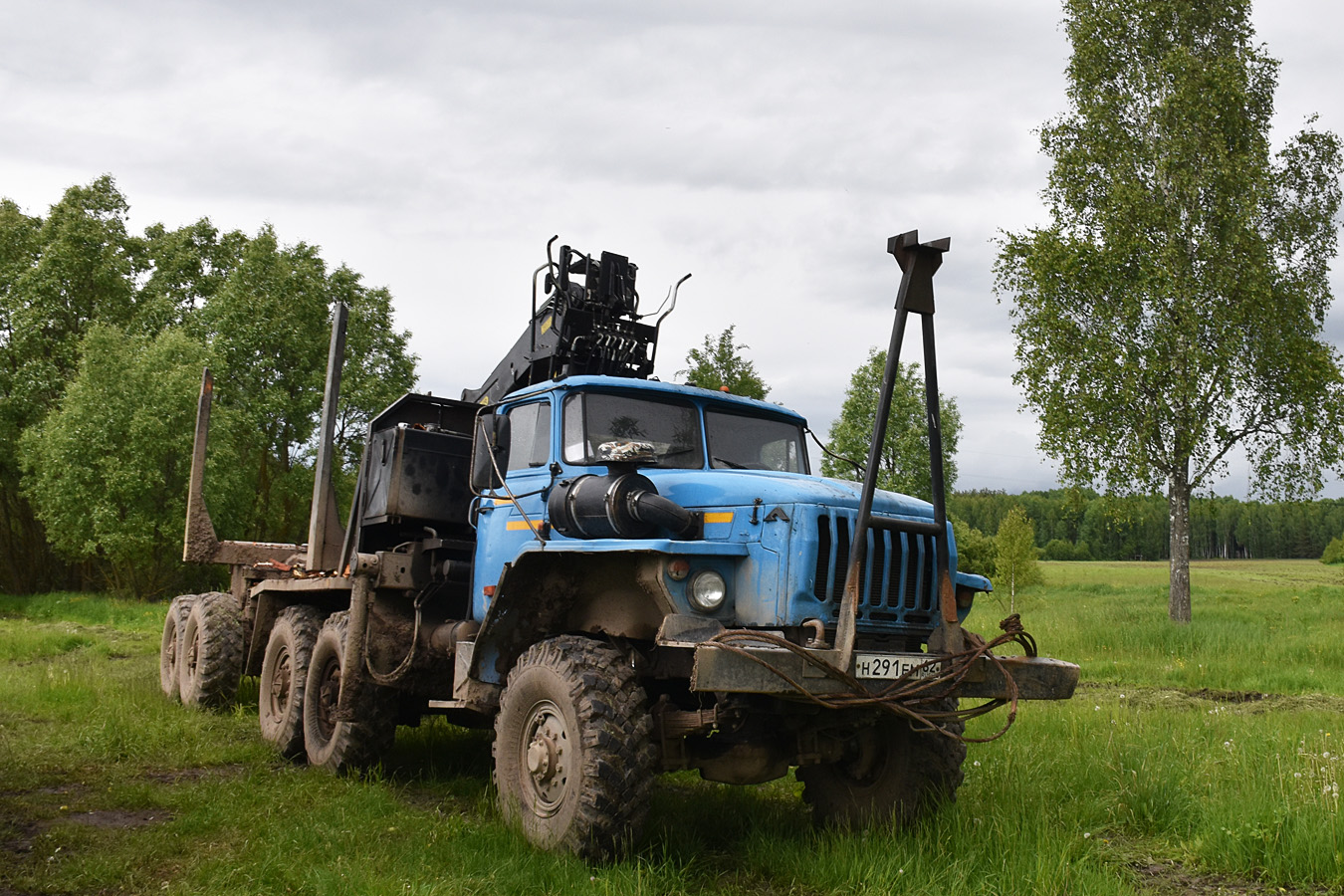 Рязанская область, № Н 291 ЕМ 62 — Урал-5557-10