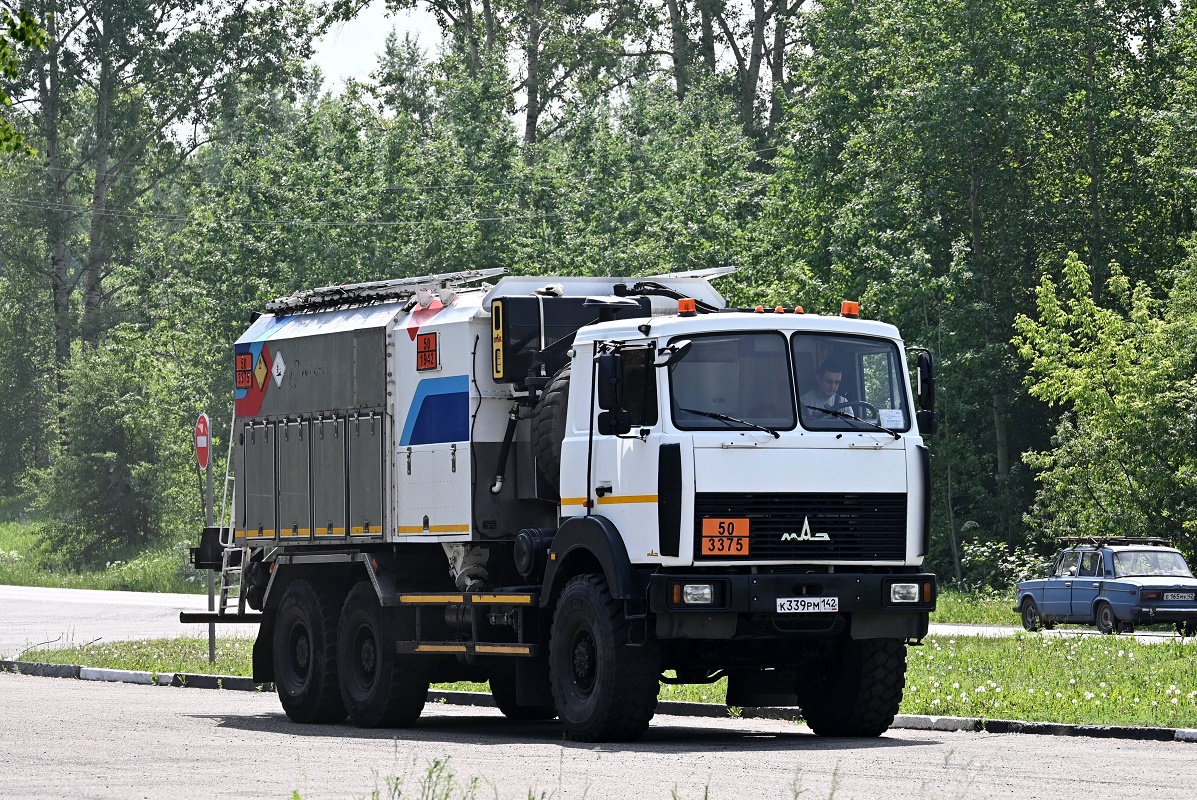 Кемеровская область, № К 339 РМ 142 — МАЗ-6317F9