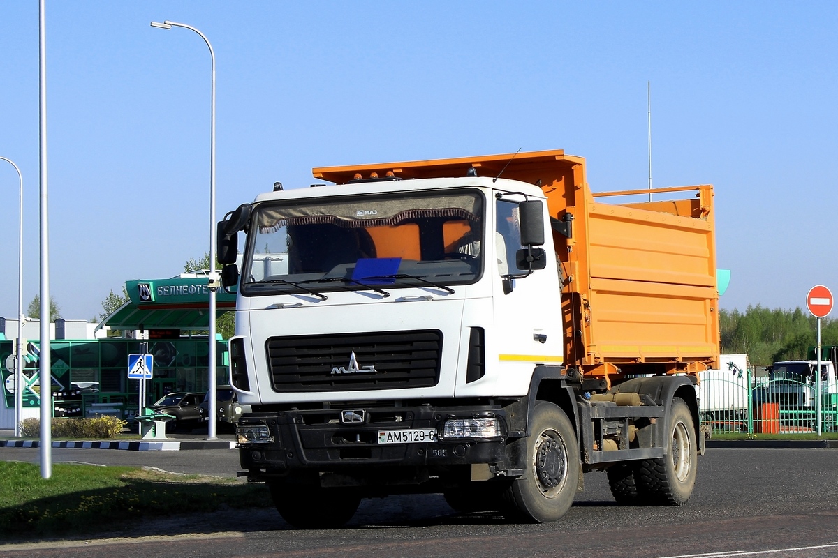 Могилёвская область, № АМ 5129-6 — МАЗ-5550 (общая модель)