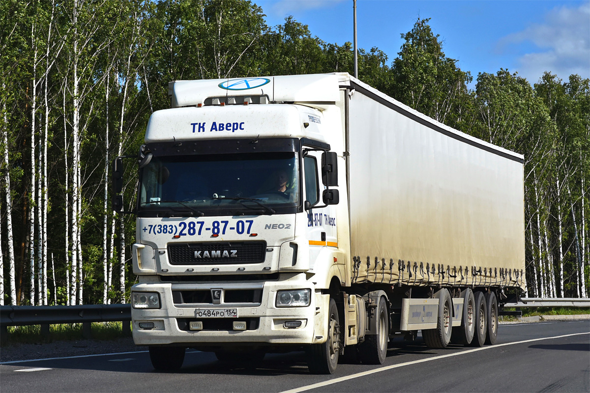 Новосибирская область, № О 484 РО 154 — КамАЗ-5490-S5(87)