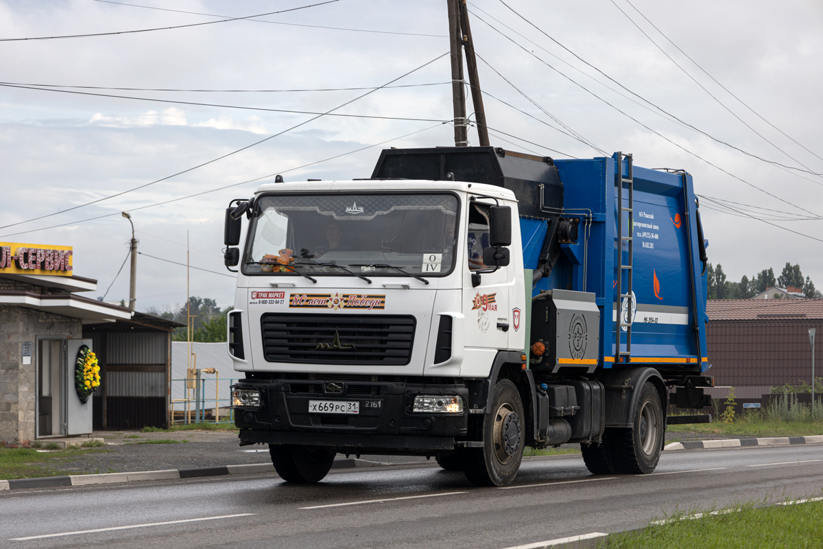 Белгородская область, № Х 669 РС 31 — МАЗ-534025