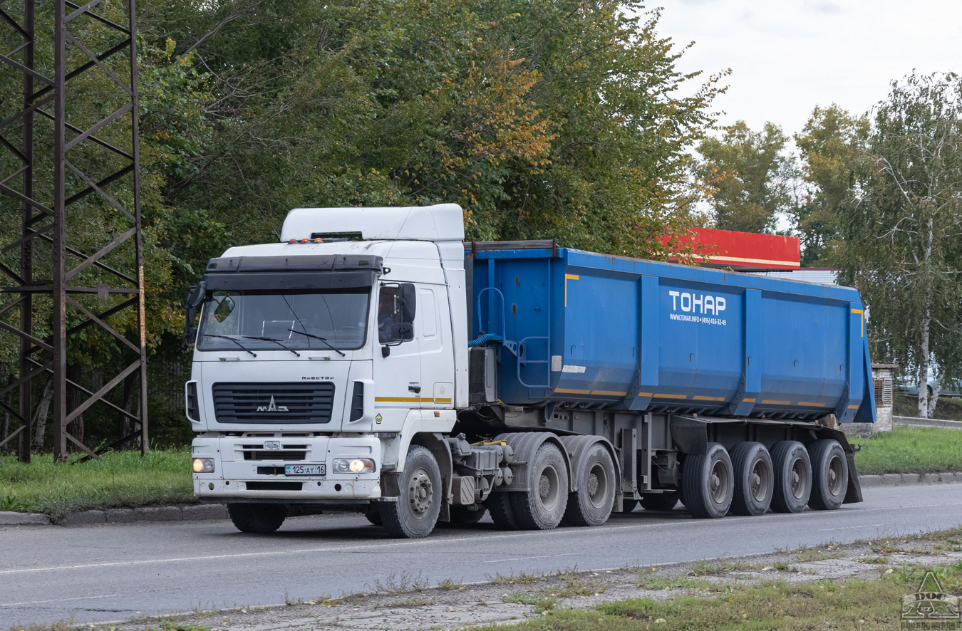 Восточно-Казахстанская область, № 125 AY 16 — МАЗ-6430B9