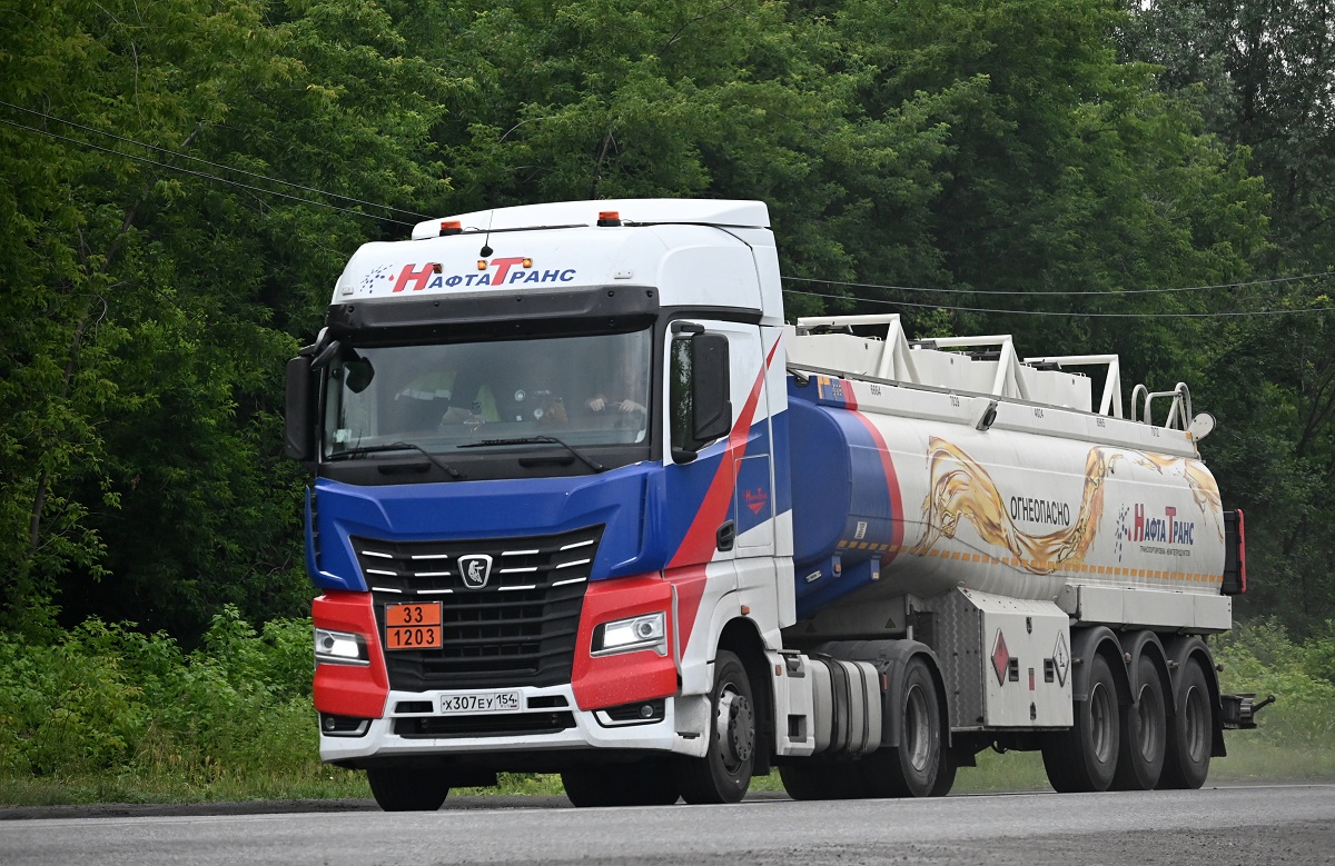 Новосибирская область, № Х 307 ЕУ 154 — КамАЗ-54901-94