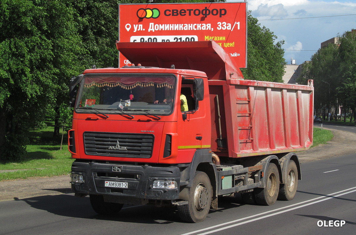 Витебская область, № АМ 9381-2 — МАЗ-6501 (общая модель)