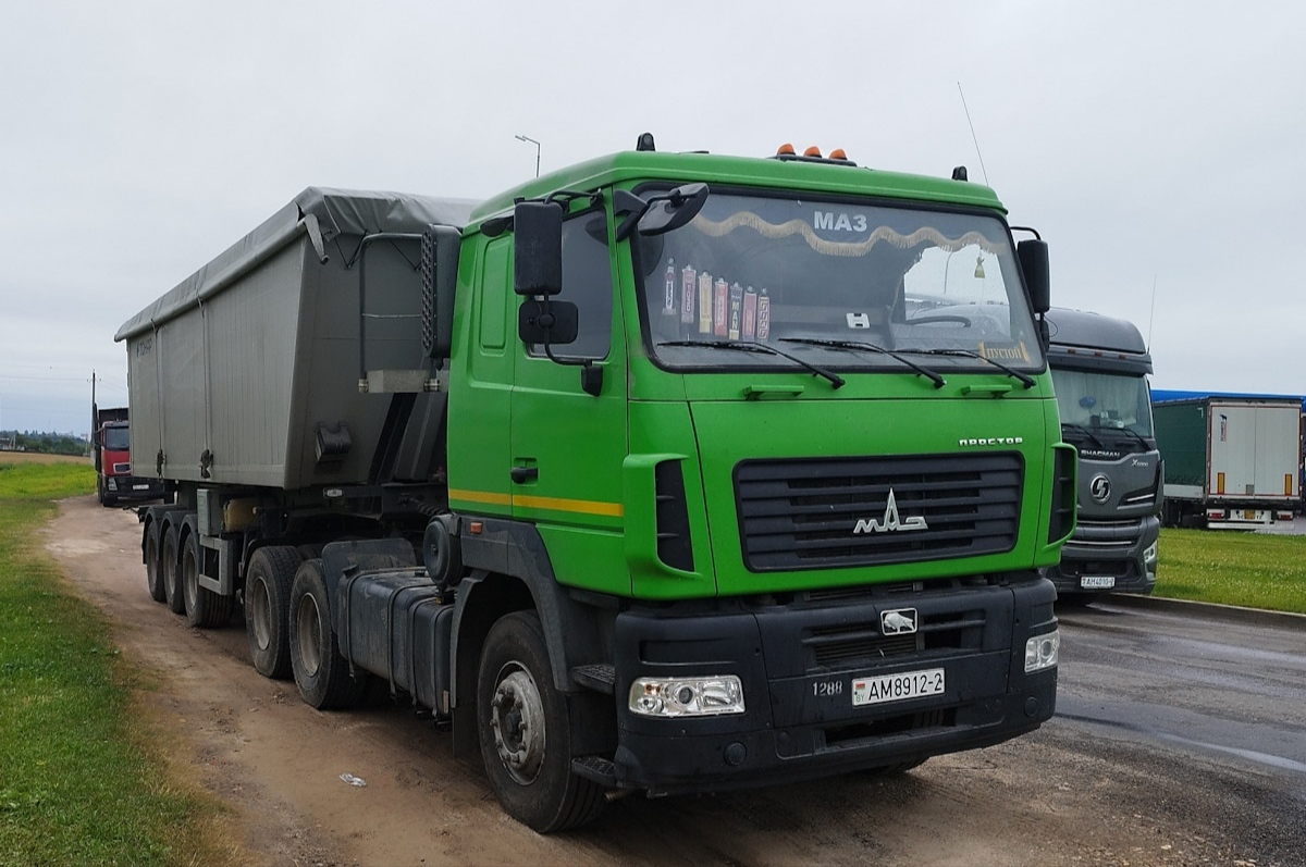 Витебская область, № АМ 8912-2 — МАЗ-6430 (общая модель)