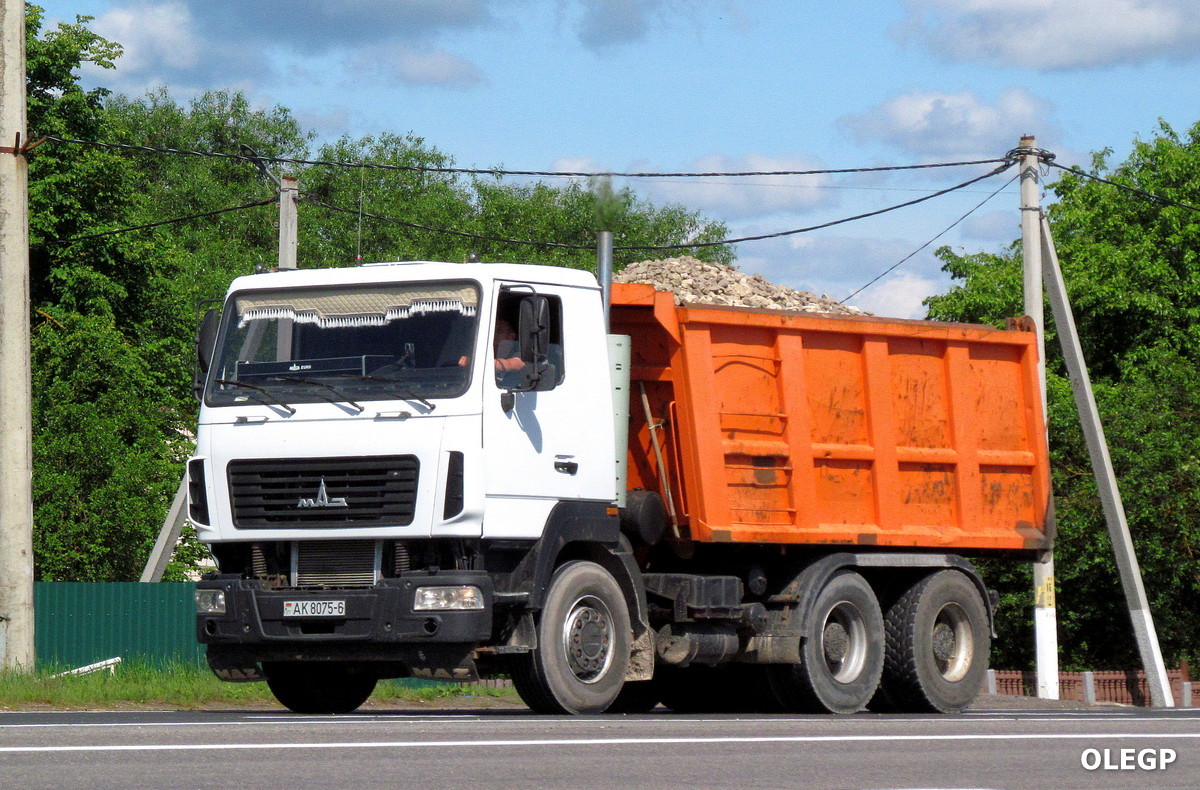 Могилёвская область, № АК 8075-6 — МАЗ-6501 (общая модель)