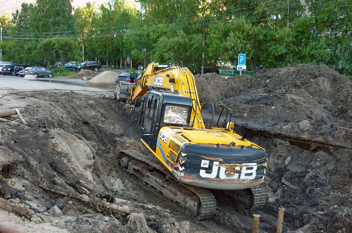 Архангельская область, № 8807 МК 22 — JCB JS205 SC/LC