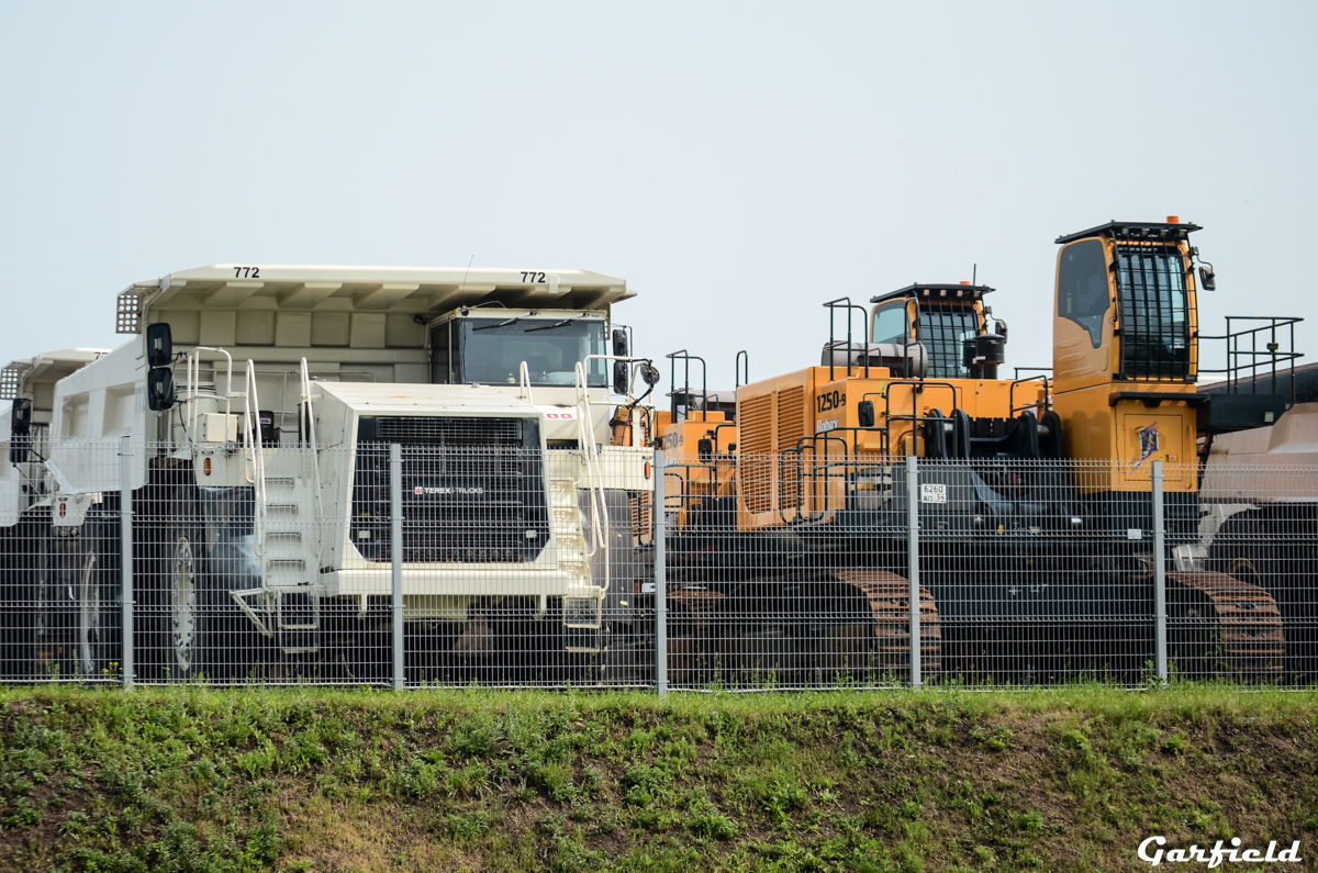 Кемеровская область, № 772 — Terex / Demag (общ.мод.) [W09-M02,M10]; Кемеровская область, № 6260 АО 54 — Hyundai (общая модель)