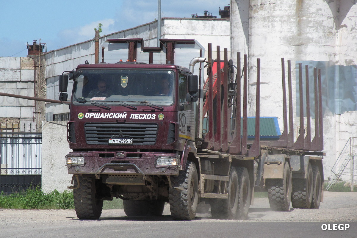 Витебская область, № АН 4596-2 — МАЗ-6302
