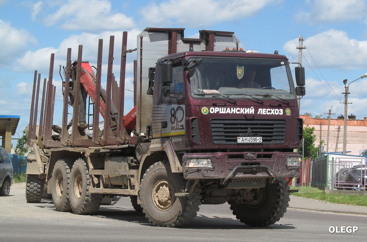 Витебская область, № АН 4596-2 — МАЗ-6302