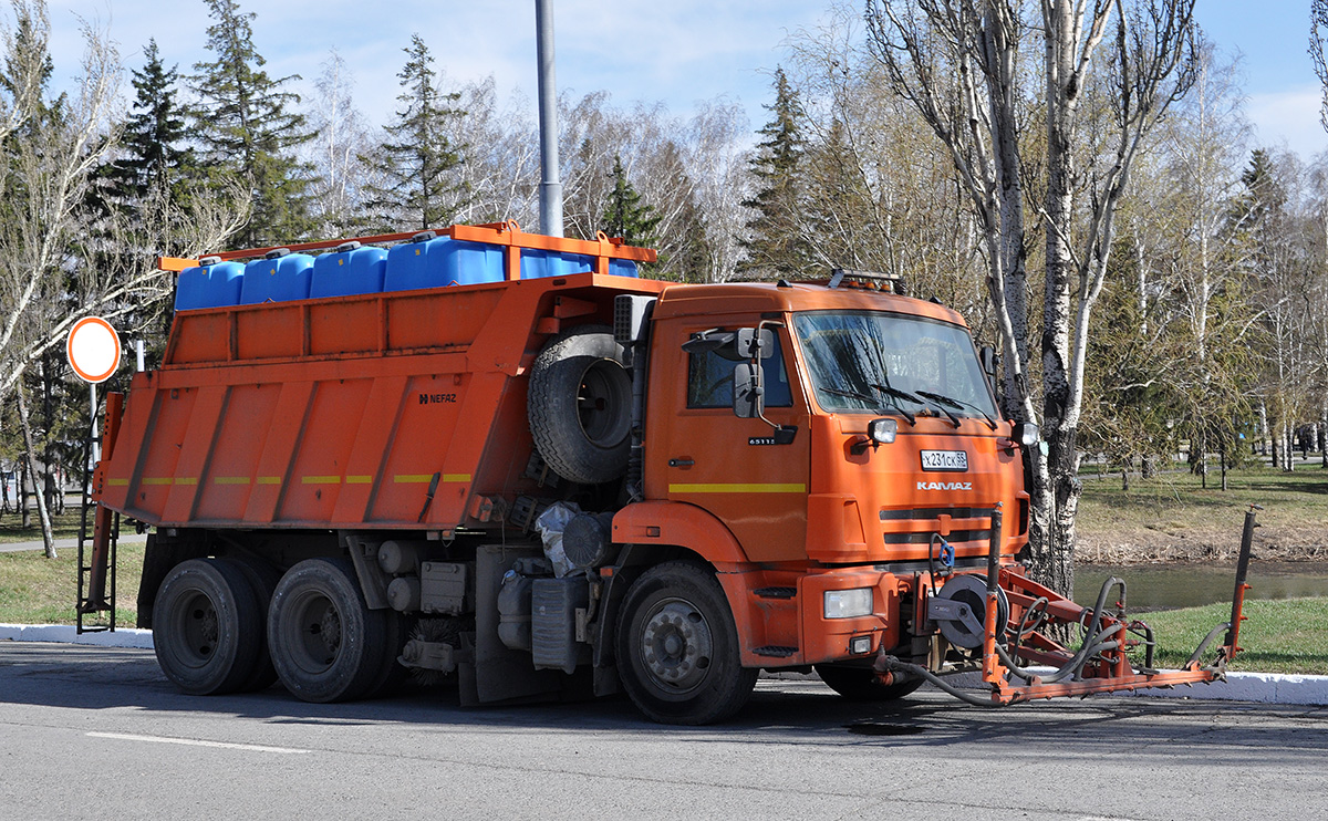 Омская область, № Х 231 СК 55 — КамАЗ-65115-A5(48)