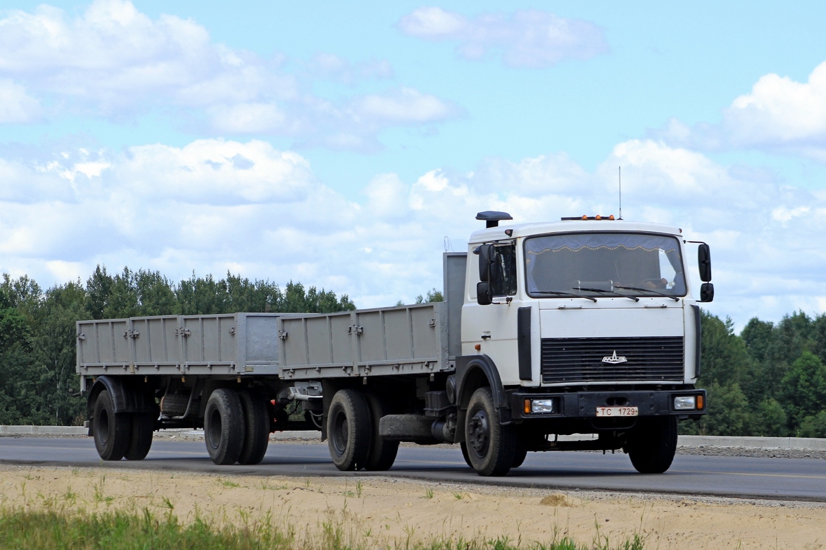 Могилёвская область, № ТС 1729 — МАЗ-5336 (общая модель)
