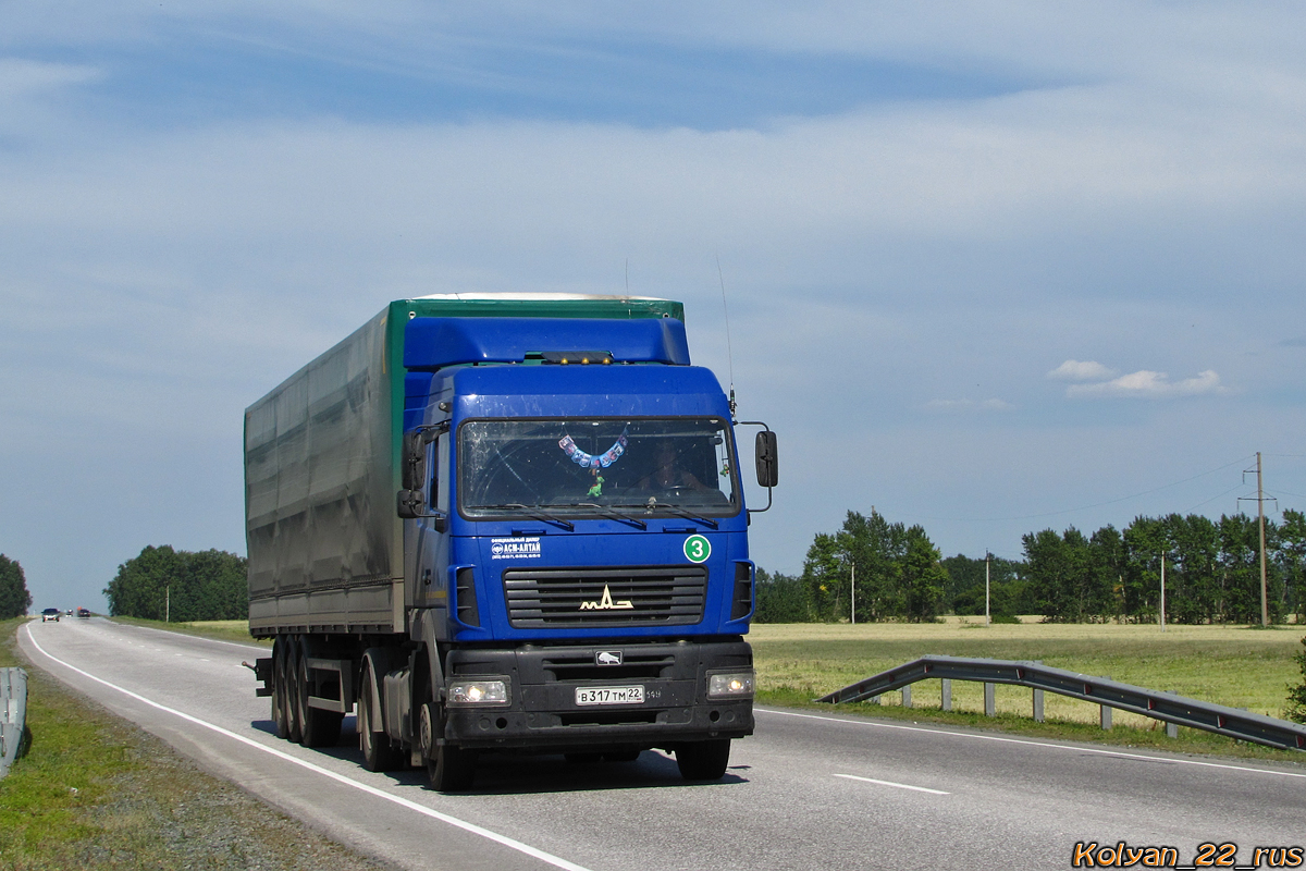 Алтайский край, № В 317 ТМ 22 — МАЗ-544018