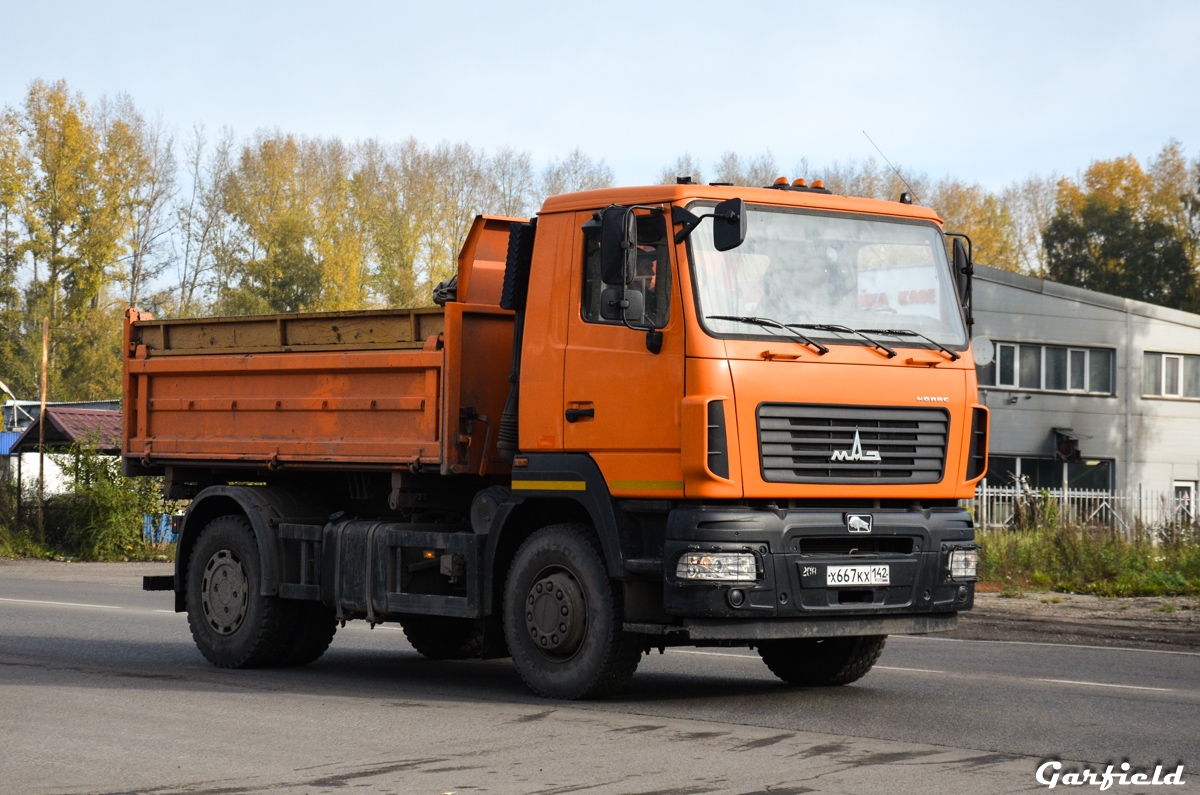 Кемеровская область, № Х 667 КХ 142 — МАЗ-5550C5