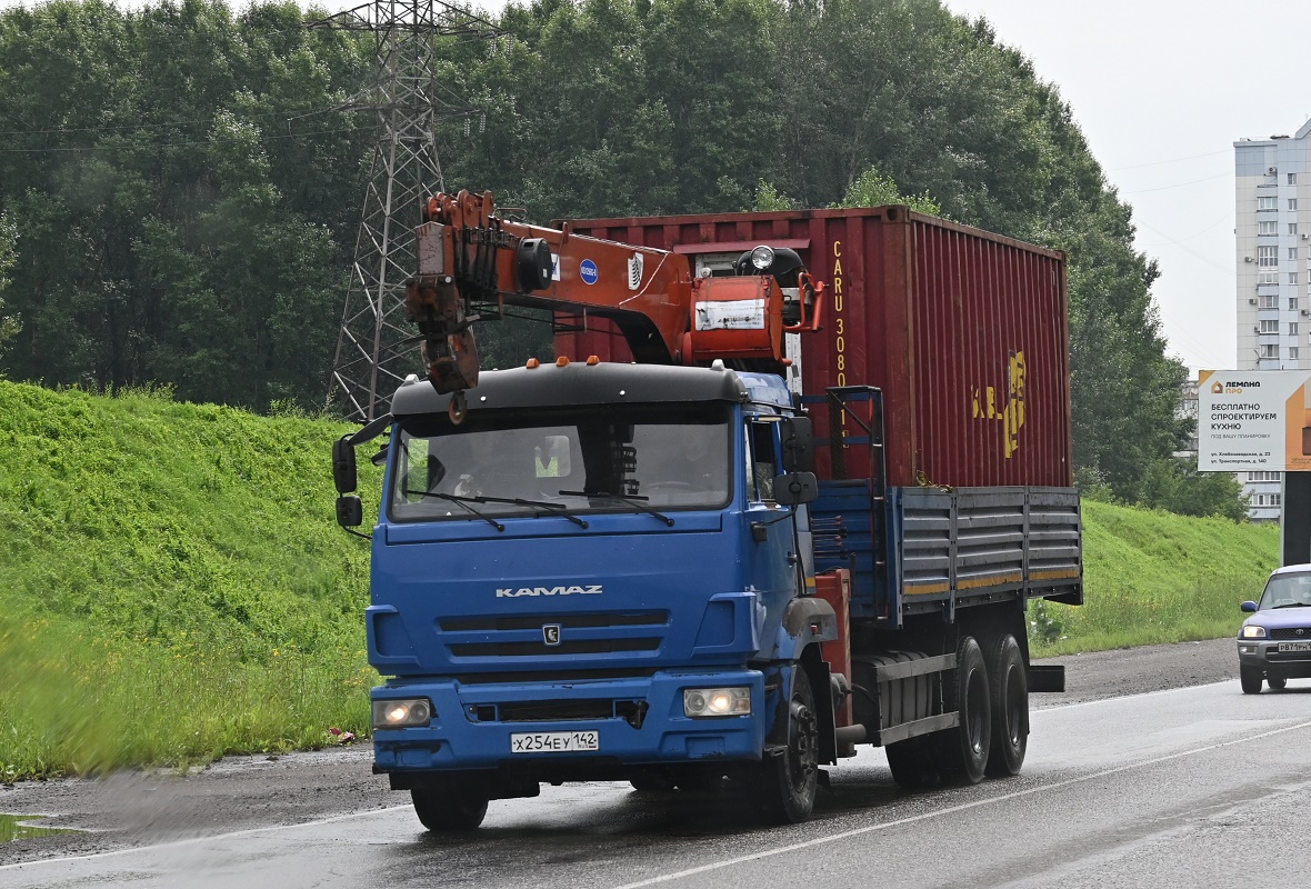 Кемеровская область, № Х 254 ЕУ 142 — КамАЗ-65117 (общая модель)