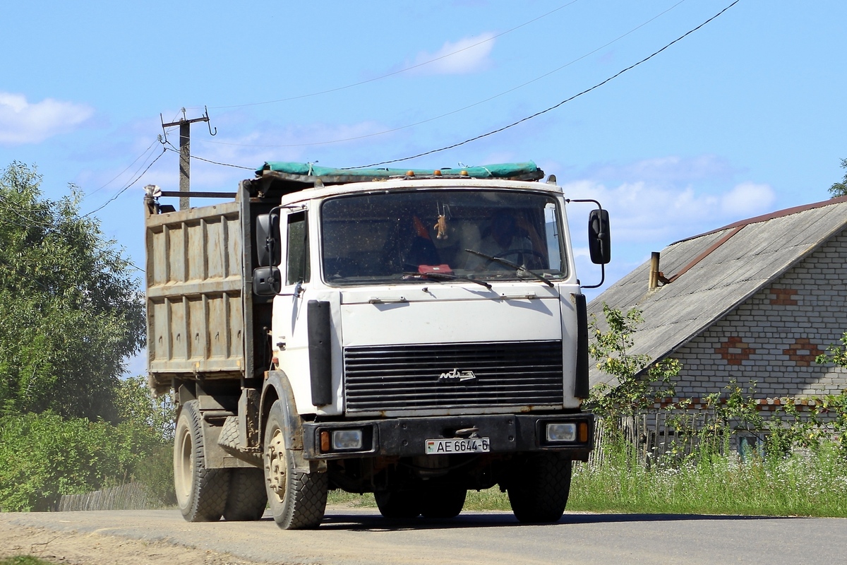 Могилёвская область, № АЕ 6644-6 — МАЗ-555142