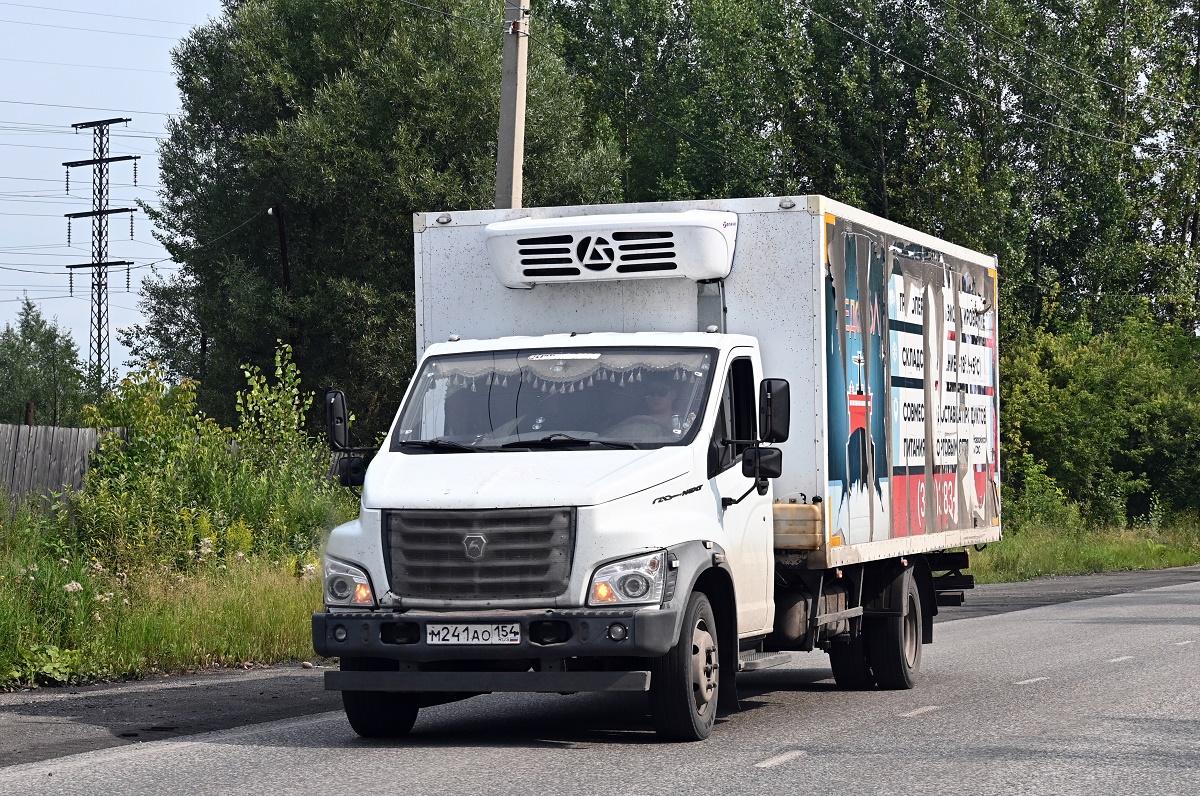 Новосибирская область, № М 241 АО 154 — ГАЗ-C41R13
