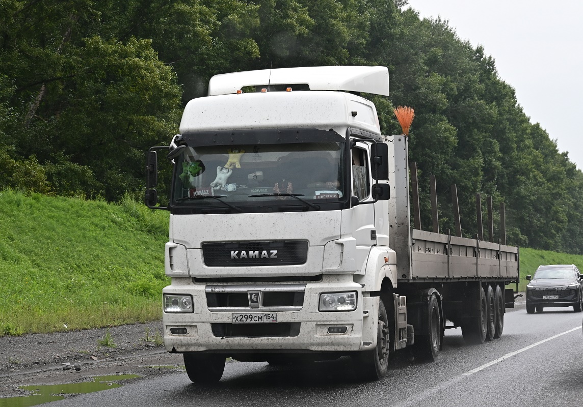Новосибирская область, № Х 299 СМ 154 — КамАЗ-5490-S5(87)