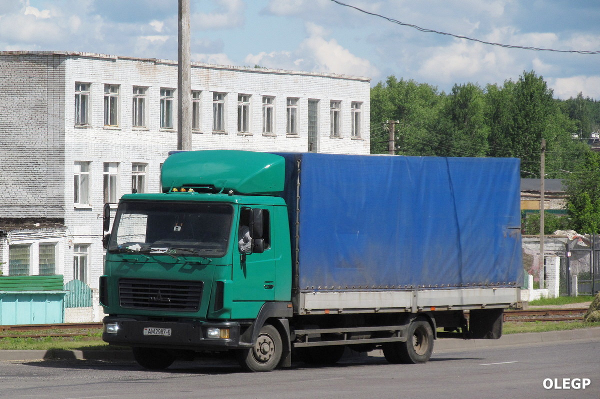 Могилёвская область, № АМ 2987-6 — МАЗ-4371 (общая модель)