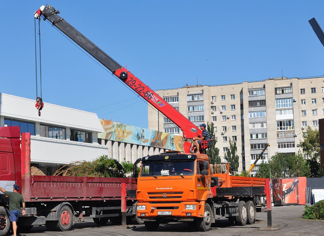 Омская область, № C 089 CC 55 — КамАЗ-65115 (общая модель)
