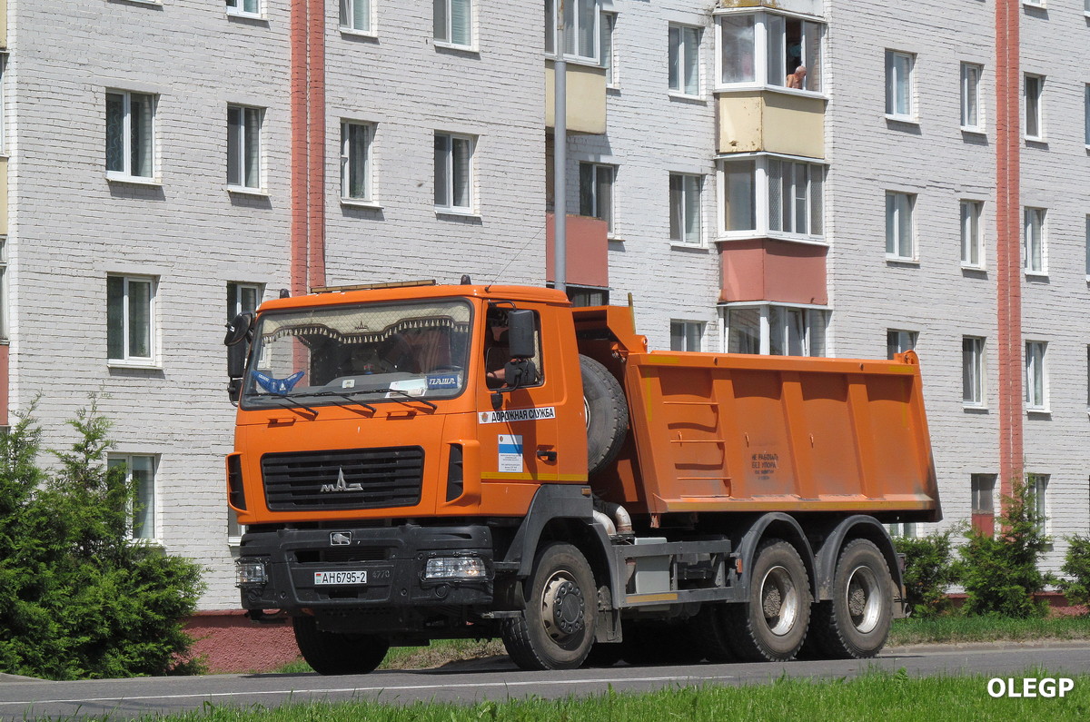 Витебская область, № АН 6795-2 — МАЗ-650128