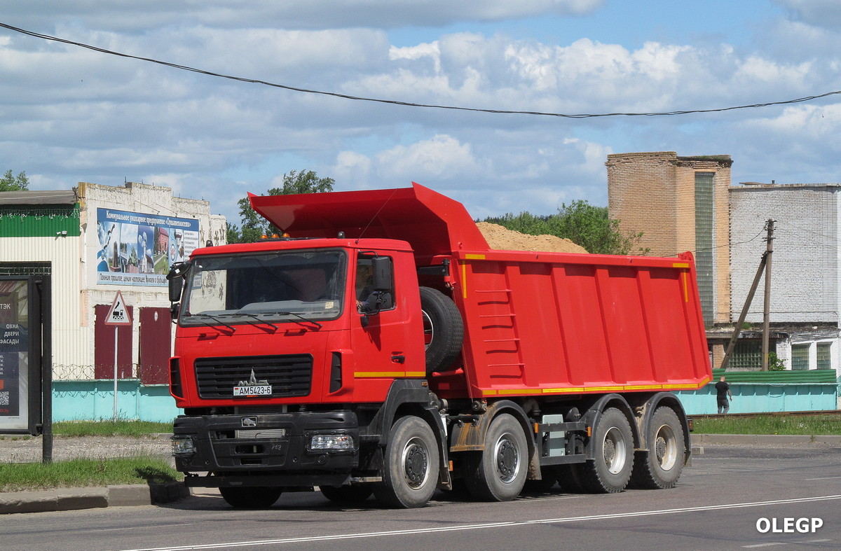 Могилёвская область, № АМ 5423-6 — МАЗ-651628
