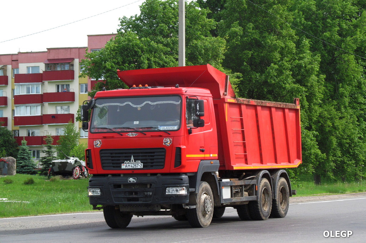 Витебская область, № АН 4267-2 — МАЗ-650128