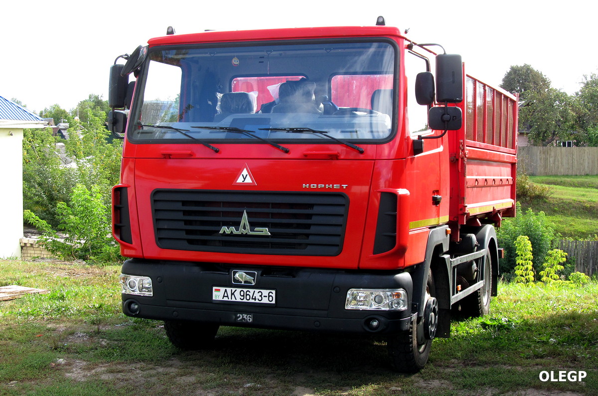 Могилёвская область, № АК 9643-6 — МАЗ-4571