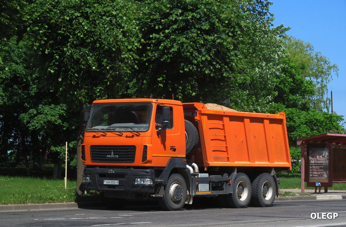 Могилёвская область, № АМ 3050-6 — МАЗ-650128