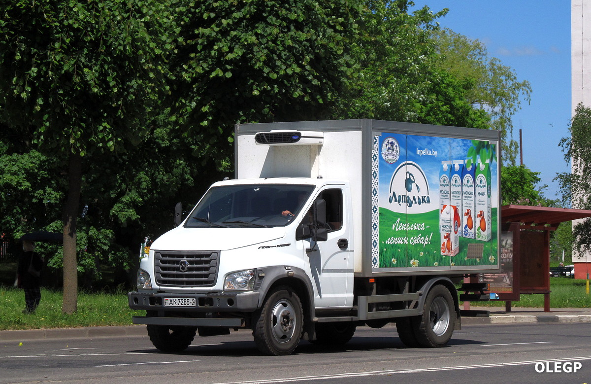 Витебская область, № АК 7265-2 — ГАЗ-C41R13