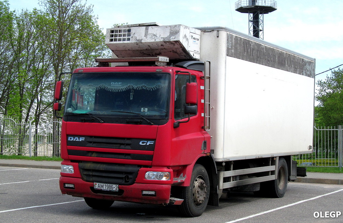 Витебская область, № АМ 1986-2 — DAF CF85 FA