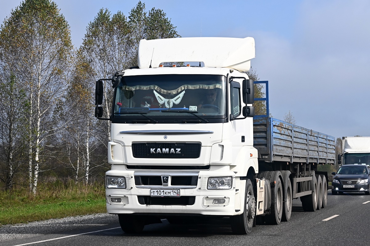 Кемеровская область, № Т 101 КМ 142 — КамАЗ-65206-T5(68)