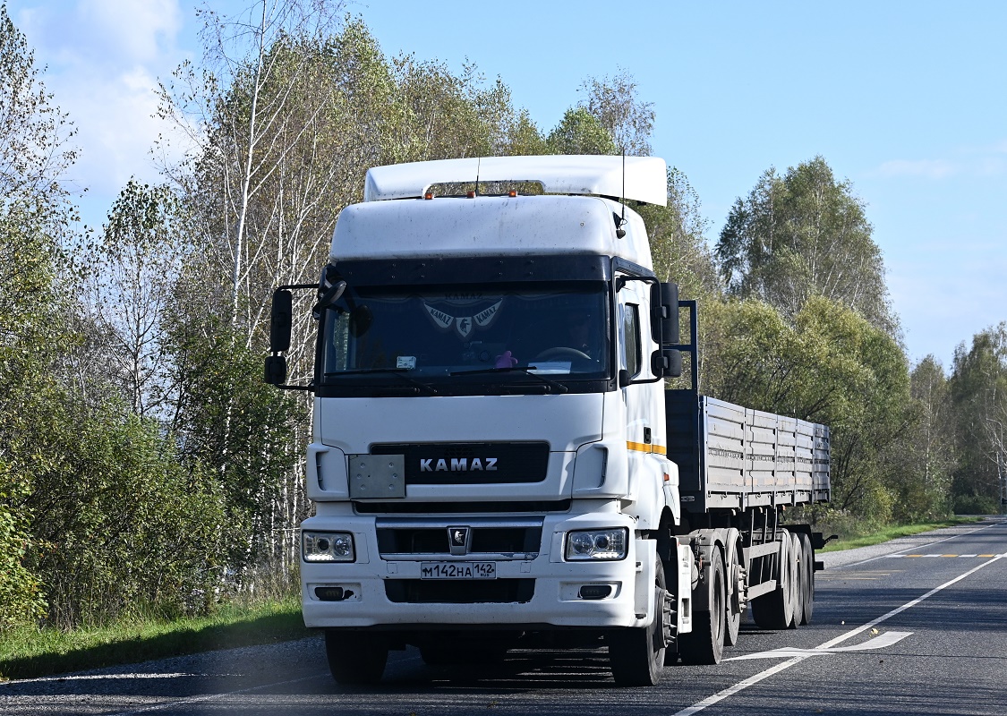 Кемеровская область, № М 142 НА 142 — КамАЗ-65209-S5(87)